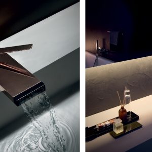 Zucchettii_Him Zucchettii_Him