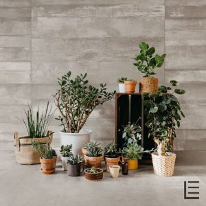 Leonardo_Moon1 Leonardo_Moon1