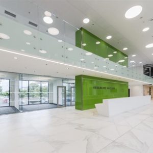 Mapei – Lepak za keramiku, Fug masa - 19