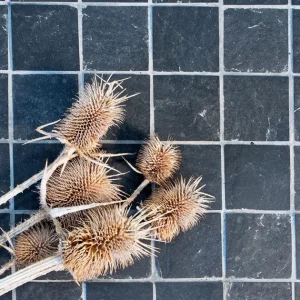 b_STON_AREDESIANERA_ibLV2UNWSj b_STON_AREDESIANERA_ibLV2UNWSj