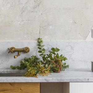 BongioKuhinjskaSlavina30570