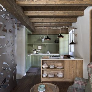 SLike za sajt male kuhinje Marca Corona1