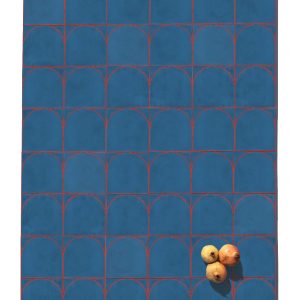 BLAU2_ambfruita-V2-1 BLAU2_ambfruita-V2-1