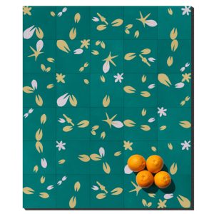 Elisas_Remedios_hojas_TRA_V2 Elisas_Remedios_hojas_TRA_V2