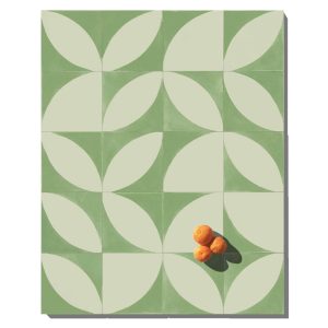 sineu-verd-V2-1 sineu-verd-V2-1